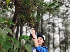 -铁山坪森林公园