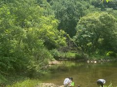 -姚家山旅游风景区