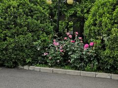-北京博爱医院