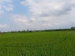 -韩湘水博园