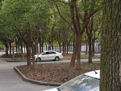-安飞驰驾校·学车连锁(金高店)