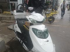 -BLACKSWAN黑天鹅(环球店)
