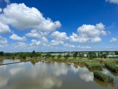 -盐城丹顶鹤湿地生态旅游区