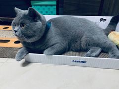 -KKV(深圳宏发大仟里店)