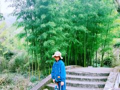 -黄公望隐居地