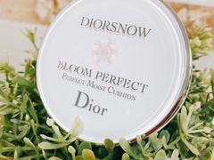 -Dior迪奥(上海世茂广场店)