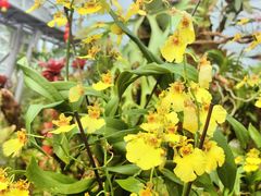 -北京植物园-展览温室