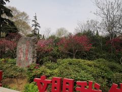 -洛阳市牡丹公园