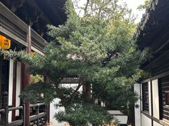 -常熟方塔园