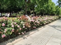 -大连人民广场