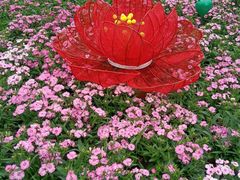 -广州市白云山风景名胜区