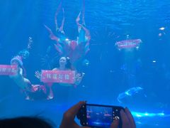 -华夏文旅海洋公园