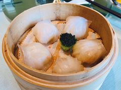 -金悦轩海鲜城(渔人码头店)
