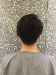 点击看大图 -付军剪艺