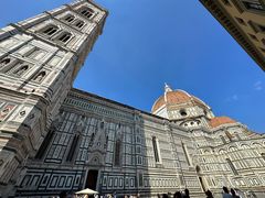 -圣母百花大教堂穹顶