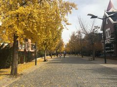 -天正河鲀·河豚亭(大连店)