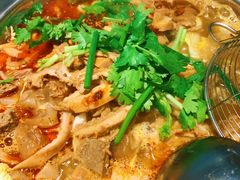 -古乐牛香·鲜牛肉牛杂火锅(吴江三里桥运东商业广场店)