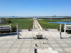 -呼兰河口湿地公园