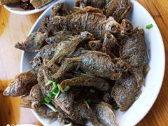 -长廊好灶头 本地人农家菜(枫泾古镇店)