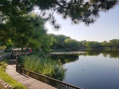 -北坞公园