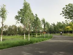 -东郊湿地公园