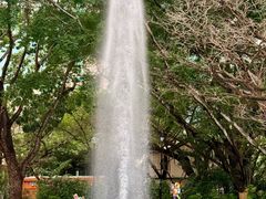 -九龙公园