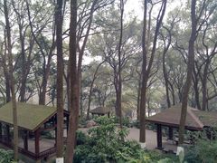 -忠山公园