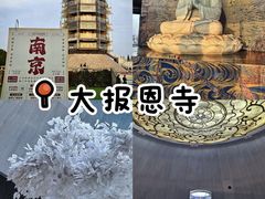 -奇芳阁·百年清真南京菜(夫子庙店)