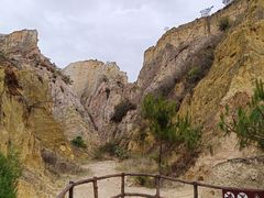 -彩色沙林风景区