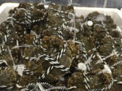 -蒸上鲜海鲜蒸汽蒸菜主题餐厅(高新店)