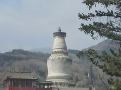 -五台山风景名胜区