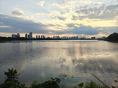 -金银湖国家城市湿地公园