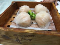 -鹅城