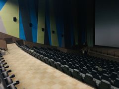 -天幕新彩云国际影城(激光巨幕店)