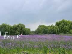 -梁鸿国家湿地公园