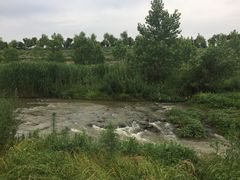 -洨河生态公园