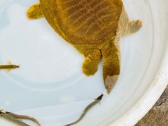 -登州市场(登州路店)