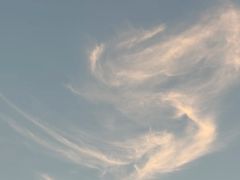-Shiftin’浮起咖啡 (福保店)
