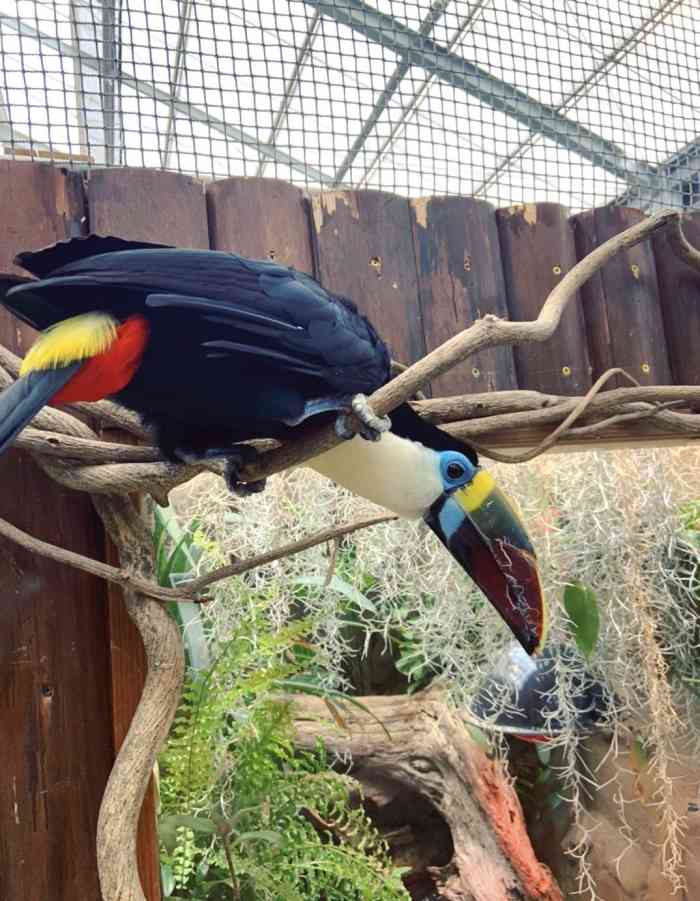 神户动物王国-"到目前体验最棒的一个动物园,非常不起眼,.