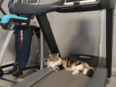 -BD健身私教工作室(CBD店)