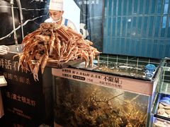 -雍容荟帝王蟹活龙虾展台自助(IFS黑金店)