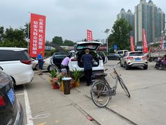 -秦美花卉(天朗·莱茵小城2期店)