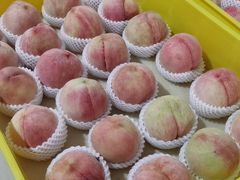 -老袁家蜜桃农场·阳山水蜜桃