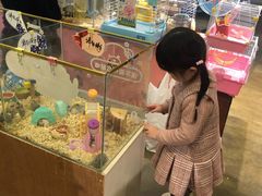 -天虹购物中心(石路店)