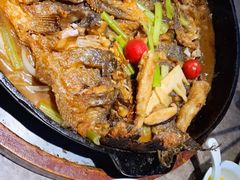 -老板恋上鱼(恒隆广场店)