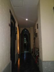 -蕾蕾美颜美容美体