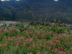 -广州市石门国家森林公园
