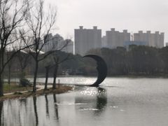 -昆山城市生态森林公园