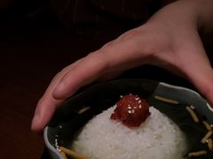 -山杏yama-katsu·吉列炸物