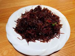 冷拌海草-金海湾海鲜排档(朱家尖店)